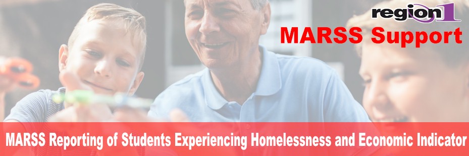 MARSS Reporting of Students Experiencing Homelessness and Economic Indicator